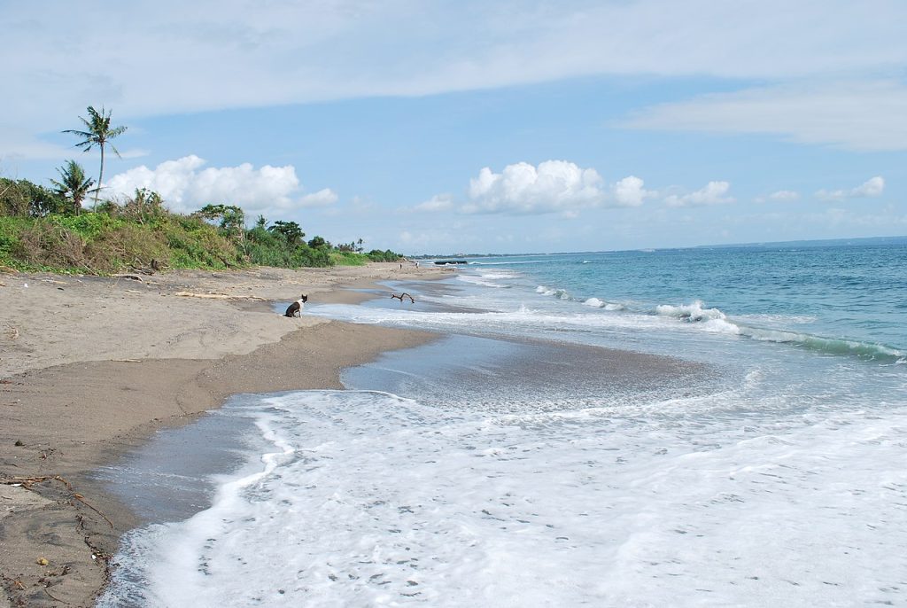Canggu Beach, one of the best places where to stay in Bali for Solo Travelers